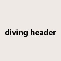 diving header是什么意思