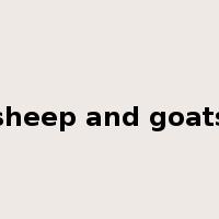 sheep and goats是什么意思