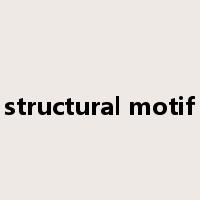 structural motif是什么意思