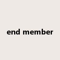 end member是什么意思
