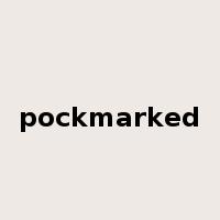 pockmarked是什么意思