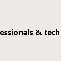 professionals & technical是什么意思