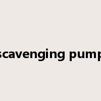 scavenging pump是什么意思