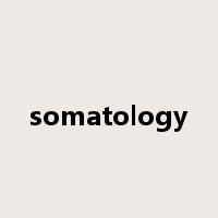 somatology是什么意思