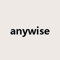 anywise是什么意思