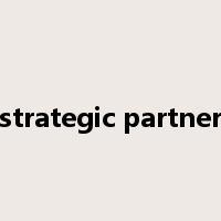 strategic partner是什么意思