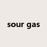 sour gas是什么意思