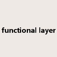 functional layer是什么意思