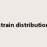 strain distribution是什么意思
