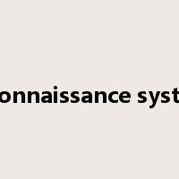 reconnaissance system是什么意思