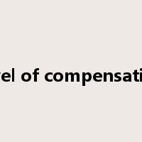 level of compensation是什么意思