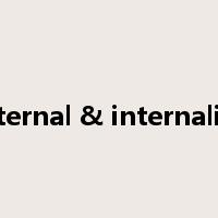 Internal & internalize是什么意思
