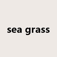 sea grass是什么意思