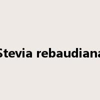 Stevia rebaudiana是什么意思