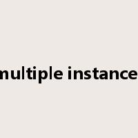 multiple instances是什么意思