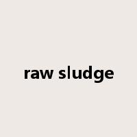 raw sludge是什么意思
