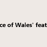 Prince of Wales' feathers是什么意思