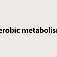 aerobic metabolism是什么意思