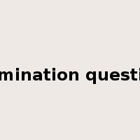 examination questions是什么意思