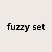 fuzzy set是什么意思