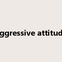 aggressive attitude是什么意思