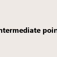 intermediate point是什么意思