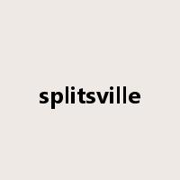 splitsville是什么意思