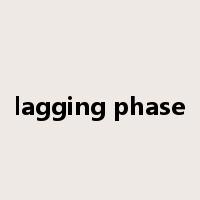 lagging phase是什么意思