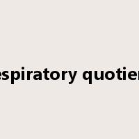 respiratory quotient是什么意思