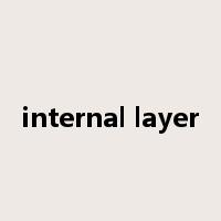 internal layer是什么意思