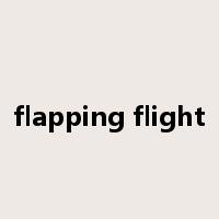flapping flight是什么意思