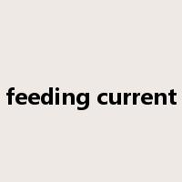 feeding current是什么意思