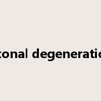 axonal degeneration是什么意思