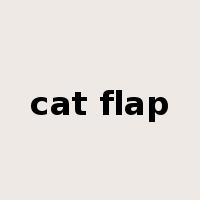 cat flap是什么意思
