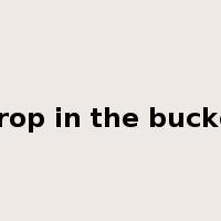 Drop in the bucket是什么意思