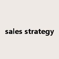 sales strategy是什么意思