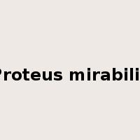 Proteus mirabilis是什么意思