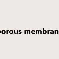 porous membrane是什么意思