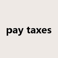 pay taxes是什么意思