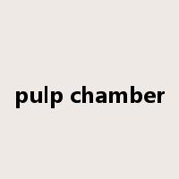 pulp chamber是什么意思