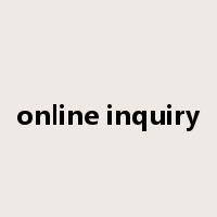 online inquiry是什么意思