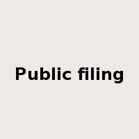 Public filing是什么意思