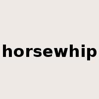 horsewhip是什么意思