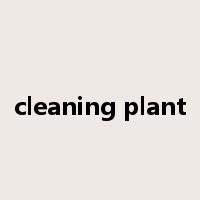 cleaning plant是什么意思