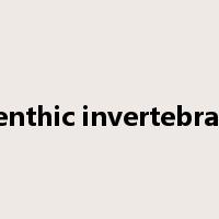 benthic invertebrate是什么意思