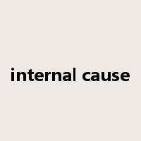 internal cause是什么意思