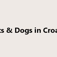 Cats & Dogs in Croatia是什么意思