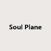 Soul Plane是什么意思