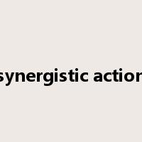 synergistic action是什么意思