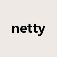 netty是什么意思